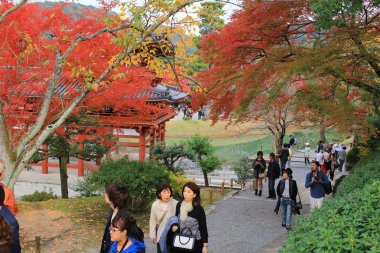 Byodo Bahçe tapınağın Kyoto, Japonya