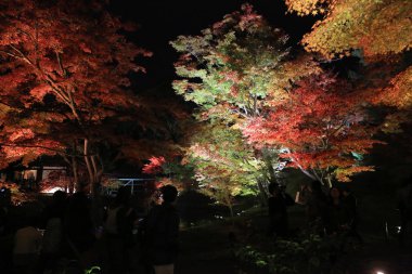 kodaiji gece sonbahar mevsimi 