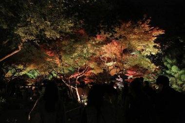 kodaiji gece sonbahar mevsimi 