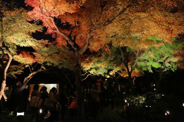 kodaiji gece sonbahar mevsimi 