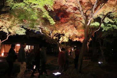 kodaiji gece sonbahar mevsimi 