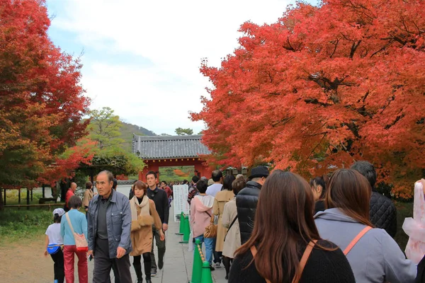 Vista Calle Uji Kyoto — Foto de Stock