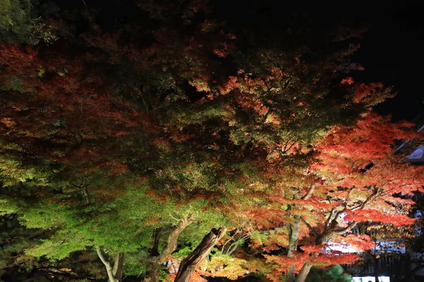 Laternen Kyoto Nishiki Tenmang Schrein — Stockfoto