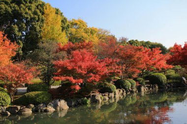 bir kyoto Bahçe için-ji Tapınağı
