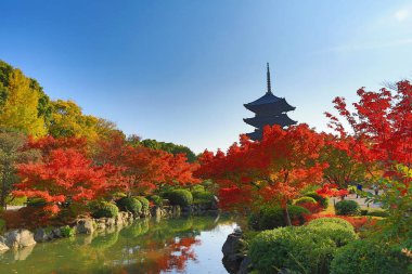 Sonbahar sezonu kyoto sırasında ji için Pagoda, Japonya