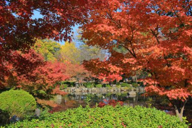 bir kyoto Bahçe için-ji Tapınağı