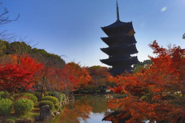 Sonbahar sezonu kyoto sırasında ji için Pagoda, Japonya