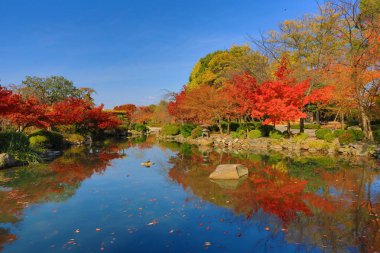 bir kyoto Bahçe için-ji Tapınağı