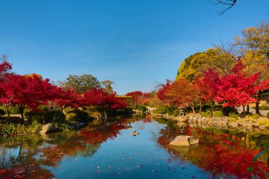 bir kyoto Bahçe için-ji Tapınağı
