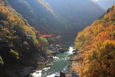  Katsura nehirde sonbahar sırasında Japonya 
