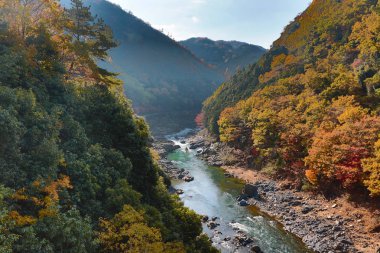Arashiyama, Japonya sonbahar mevsiminde Katsura nehrinde