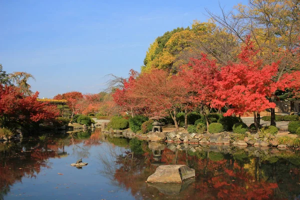 bir kyoto Bahçe için-ji Tapınağı