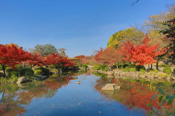 bir kyoto Bahçe için-ji Tapınağı