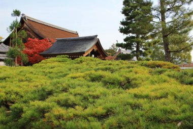 Daikaku-ji, kyoto