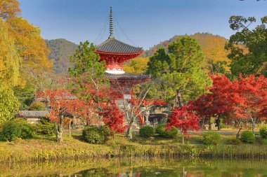 Daikaku-ji, kyoto