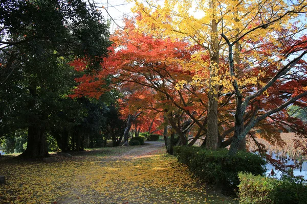 Giardino di Daikaku-ji, kyoto — Foto Stock