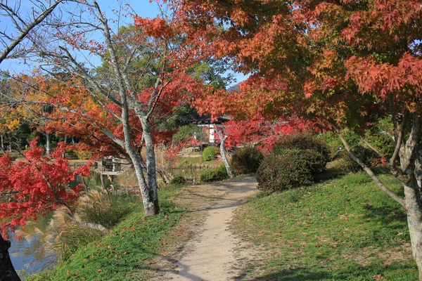 Сад Дайкаку-дзи, Киото — стоковое фото