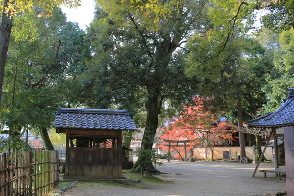 Daikaku-ji, Kyoto — Stockfoto