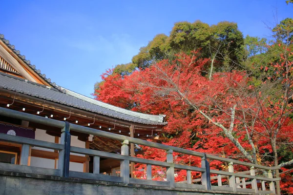 Daikaku-ji, Kioto — Zdjęcie stockowe