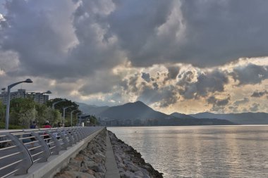 Anne Shan, Hong Kong