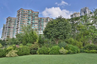 Anne Shan, Hong Kong