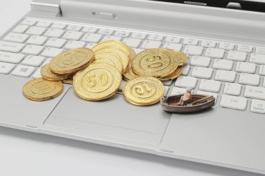 Mini figür Çevrimiçi Phishing ve Kimlik Hırsızlığı