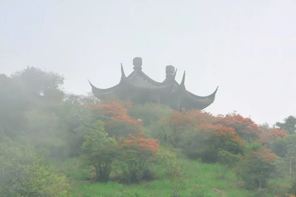 The hk Kadoorie Farm and Botanic Garden — Stock Photo, Image