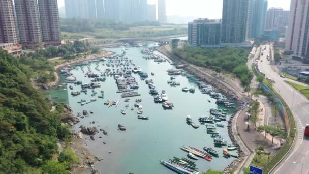 Emelkedett Kilátás Napsütötte Kikötő Kikötve Hajók Kerületi Épületek Tseung Kwan — Stock videók