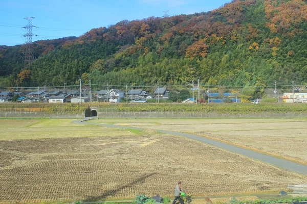 Vonat kilátás táj vagy mező Japánban — Stock Fotó