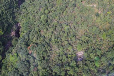 23 Kasım 2019 Nei Lak Shan Country Trail, Hong Kong