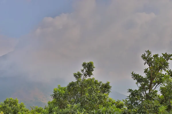 Paisagem bonita a caminho de Lantau Peak 23 Nov 2019 — Fotografia de Stock