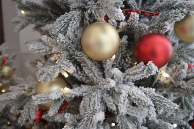 Noel süslemesi. Tatil Dekorasyonları İzole Edildi