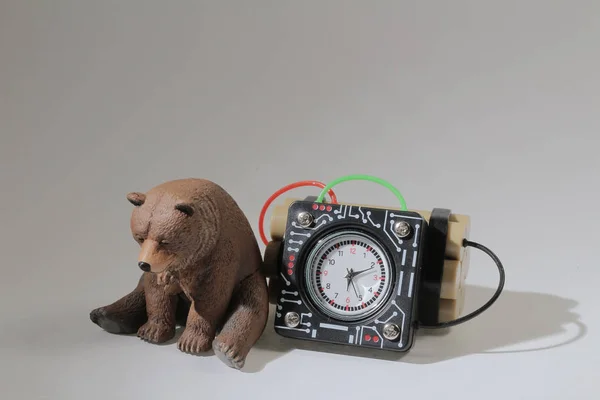 En skala av tidsinställd bomb med den sovande björnen — Stockfoto