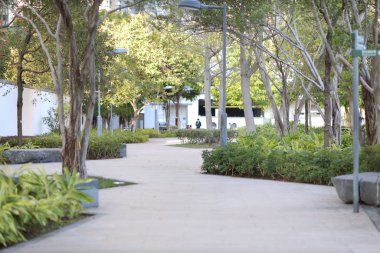 Hang Hau Man Kuk Lane Parkı, Hong Kong 30 Ocak 2020