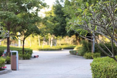 30 Ocak 2020 Tko Park Hk 'de dolambaçlı yol