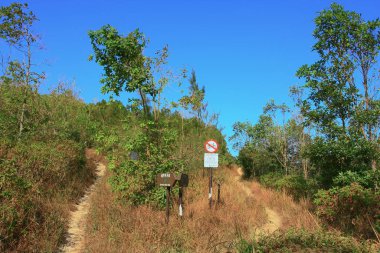 21 Aralık 2008, Sai kung 'daki High Junk Peak Country Trail