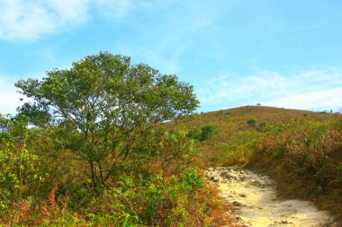 25 Aralık 2008 Ünlü Maclehose Yolu Bölüm 4, Hong Kong, Çin