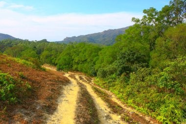 25 Aralık 2008 Ünlü Maclehose Yolu Bölüm 4, Hong Kong, Çin