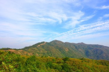25 Aralık 2008 Hong Kong Maclehose Patikası 
