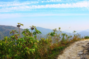 25 Aralık 2008 Ünlü Maclehose Yolu Bölüm 4, Hong Kong, Çin