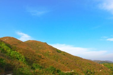 25 Aralık 2008 Hong Kong Maclehose Patikası 