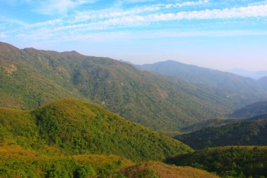 25 Aralık 2008 Hong Kong Maclehose Patikası 