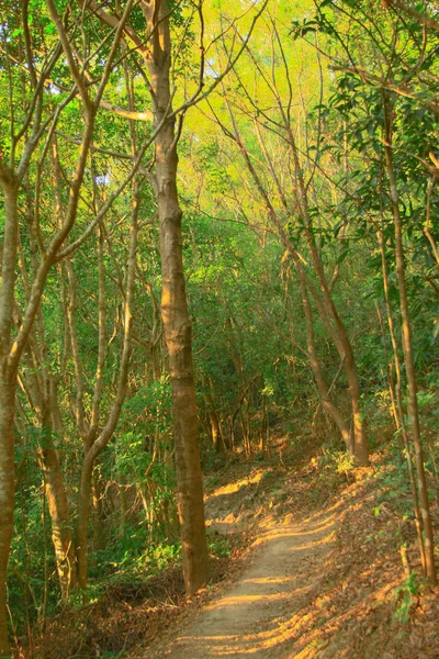 25 dec 2008 Famous MacLehose Trail Section 4 in Hong Kong, China — Stock Photo, Image
