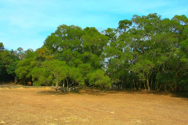 25 Aralık 2008 Cheung Sheung sai kung, Hong Kong 