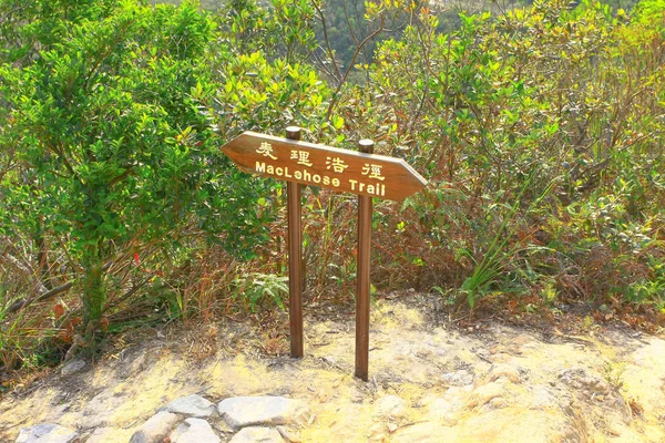 25 dec 2008 the index board at nature of hk Country Park — 스톡 사진