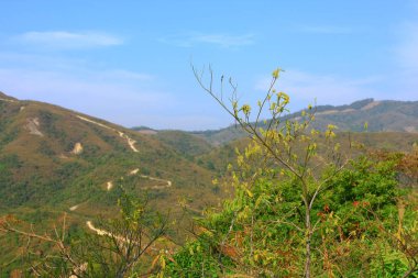 25 Aralık 2008 Hong Kong Maclehose Patikası 