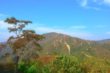 25 Aralık 2008 Ünlü Maclehose Yolu Bölüm 4, Hong Kong, Çin