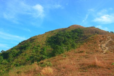 25 Aralık 2008 Ünlü Maclehose Yolu Bölüm 4, Hong Kong, Çin