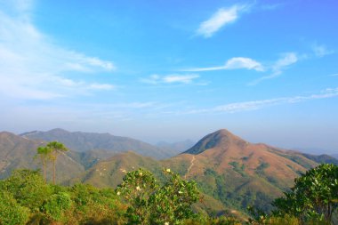 25 Aralık 2008 Hong Kong Maclehose Patikası 