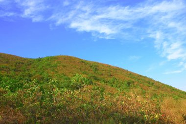 25 Aralık 2008 Hong Kong Maclehose Patikası 
